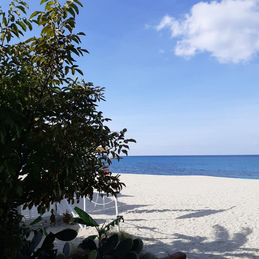 Bed & Breakfast Bibio Parghelia Dış mekan fotoğraf